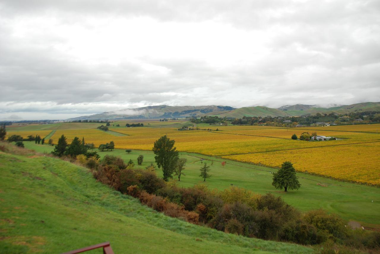 Infinityview B&B Blenheim Buitenkant foto